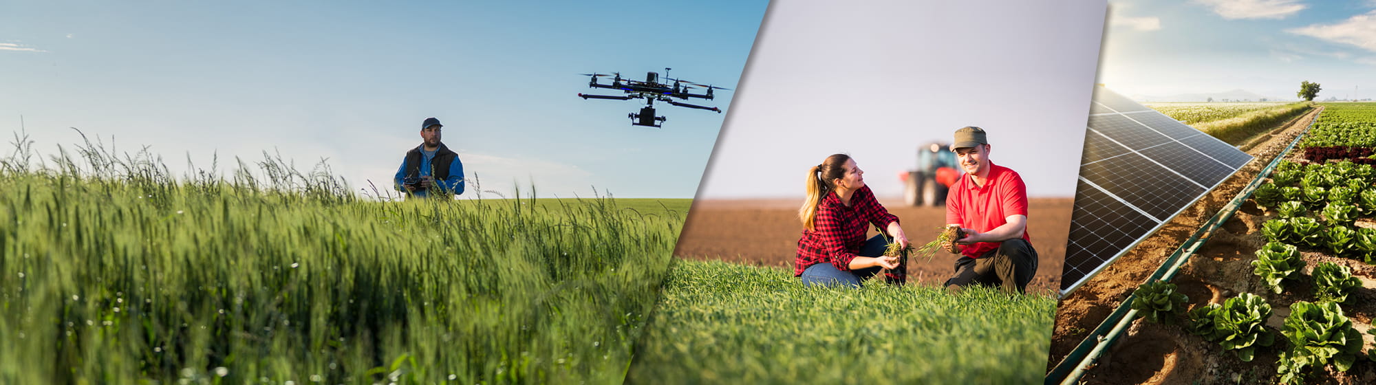 L'affiche du salon SIA'PRO 2025 montre quatre photos illustrant les thématiques et l'esprit de l'événement : l'innovation, l'équipement agricole, la culture de céréales, l'élevage et la convivialité