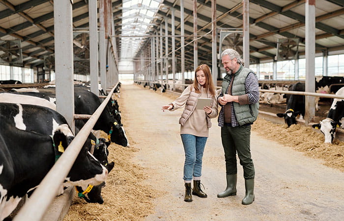 On voit un agriculteur avec un contact expliquer l'installation innovante dans sa stabulation reliée à de la data